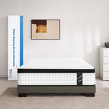 ZNTS Twin Size 12 Inch 7-Zoned Cool Memory Foam Individual Pocket Spring Hybrid Mattress W3017P232166