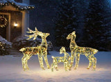 3pcs 2.4FT 2D 4.5V 3.60W Family Elk Iron Frame Courtyard Elk Decoration 55066775
