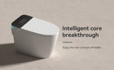 Smart Toilets with Heated Bidet Seat.Portable toilet with bidet built.Intelligent Toilet Auto W3133P280847