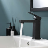 Black Bathroom Faucet, Brushed Black Faucet for Bathroom Sink, Black Single Hole Bathroom Faucet W1932P156128