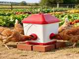 Automatic Chicken Feeder 59722292