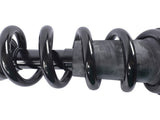 2Pcs Front Suspension Strut and Coil Spring Assembly Fit for Cadillac Escalade Chevy Suburban Tahoe 09984166