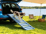 Gray Portable Dog Ramp Foldable Stairs for Medium Small Dogs to Get on Car Truck SUV 96896623