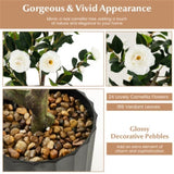 2 PCS 38 Inch Artificial Camellia Tree Faux Flower Plant in Cement White 79691312