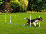 Dog Outdoor Exercise Training Set 84026797