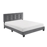 ZNTS 1pc Queen Platform Bed Dark Gray Velvet Upholstered Adjustable Height Headboard Button Tufted Solid B011P203579