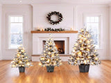 3Piece Flocked PreLit Christmas Tree Set, 3FT 4FT 5FT Potted Artificial Tree with Warm White LED 3 N710P513662K