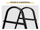 4-Step 52in Iron Pool Ladder 52721018