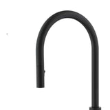 DAX Single Handle Pull Down Kitchen Faucet Matt Black Finish B2702P227004