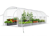 Walk-in Tunnel Greenhouse 1577 FT, Galvanized Steel Frame with 8 Mesh Windows & Roll-Up Zipper 24811007
