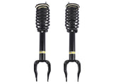 Set of 2 Front Shock Strut Coil Spring Assys Fit for Mercedes-Benz W166 C292 ML500 GLE400 1663232400 95769204