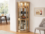 Lighted Corner Curio Cabinet - Display Case for Living Room, Antique Collectibles, Wine & Bar Glass W1758P300104
