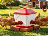 Automatic Chicken Feeder 59722292