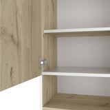 Alaska Medicine Cabinet, With Three Storage Shelves, Single Door Cabinet B128P148852