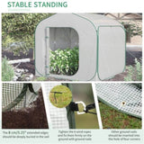 Mini Walk-in Greenhouse 89965304