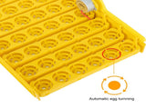 42-Egg Practical Fully Automatic Poultry Incubator with Egg Candler US Standard 08717076