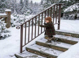 Outdoor 4 Level Iron Handrail Copper 70877078