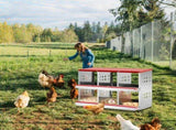 Chicken Nesting Boxes, 6 Compartment Metal Poultry Nest Box Wall Mount for Chickens Hens Ducks, Red 77096933