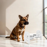 White Adjustable Pet Bowl Travel Ready HDPE Durable Poly Lumber Recycled B195P235823