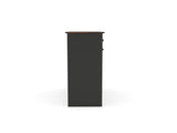 Farmhouse Black Double Tilt Out Trash for 20 Gallon Trash Cans, Free Standing Recycling 29423992