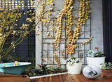 2 Pack 16" x 61" Rustproof Iron Garden Trellis 96760539