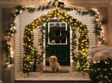 240*40*260cm 1860 Branches PVC Christmas Arch Holiday Arch Decoration Green 47929880