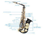 Alto Saxophone E-Flat Alto SAX Eb with 11reeds, case,carekit, Black Color 54900076