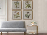 4-piece Botanical Illustration Framed Canvas Wall Art Set B03599414