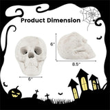 Halloween Decoration Beige 91381057