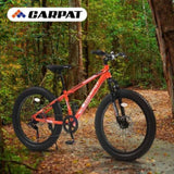 ZNTS S24109 24 Inch Fat Tire Bike Adult/Youth Full Shimano 7 Speeds Mountain Bike, Dual Disc Brake, W1856107353