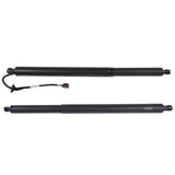 Lift Cylinder LeftRight Fit for Hyundai Tucson Sport Utility 1.6L 2.5L L4 2022-2024 4-Door 05095474