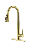 ZNTS Gold Kitchen Faucets with Pull Down Sprayer, Kitchen Sink Faucet with Pull Out Sprayer, Fingerprint K-4012-BG