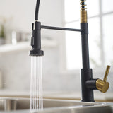 Commercial Black and Nickel Gold Faucet with Pull Out Sprayer, Single Handle Single Lever W1932P172336