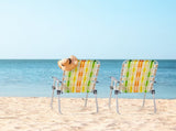 Set of 2 Webbed Folding Beach Chairs, Outdoor Patio Lawn Foldable Chairs for Camping Fishing Yard 34057801