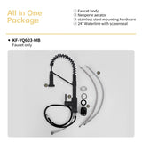 Bothwa Home CUPC Certified 19" Single Handle Kitchen Faucet B2724P262356