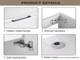 23" Freestanding Bathroom Vanity with Sink, Soft Close Doors W999P206105
