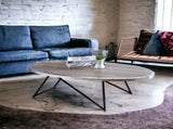 Allis Weathered Gray Oak & Metal Finish Coffee Table B2726P281893