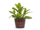 Handmade Glazed Ceramic Planter Set of 3, 16/13/10 Inch Diameter, Horizontal Rib Design, for W3273P321532