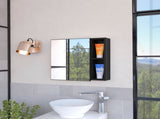 Myrick 2-Shelf Medicine Cabinet with Mirror Black Wengue B06280278