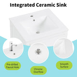 20" Bathroom Vanity with Sink, Bathroom Cabinet with Soft Closing Door, Storage Rack and A Drawer, N725P185452K