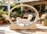 Wooden Cat Exercise Wheel 65485135