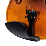 Brand new 1/2 acoustic violin set 38503299