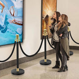 Stanchions and Velvet Ropes, 6 Pcs Crowd Control Barriers with 4 Black Velvet Ropes, Stainless Steel 79914294