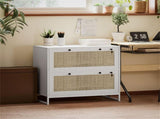 File Cabinet/ Storage cabinet 74438568