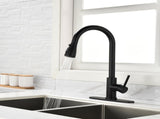 Black Kitchen Faucet, Kitchen Faucets with Pull Down Sprayer Commercial Stainless Steel Single 43249908