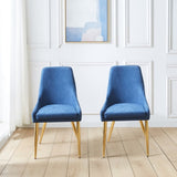 Fabric Dining Chairs Set of 2, Upholstered Armless Accent Chairs, Classical Appearance and Stainless W1241119373