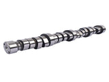 Engine Camshaft Replacement for Dodge Ram 1500 Chrysler 300 5.7L V8 2005-2008 53022065AB 53021731AE 30734705