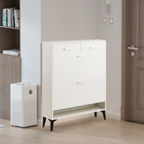 Large size Shoe Cabinet,Free Standing Tipping Bucket Shoe Rack Organizer with 2 Flip Drawers&2 W2516P185160