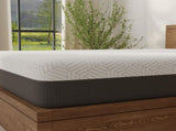 Omne Fria 12 Inch Queen Soft Mattress With Cooling Cover B047P316884