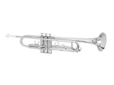 Brass Trumpet Bb with 7C Mouthpiece for Standard Student or Beginner Silver 03408510